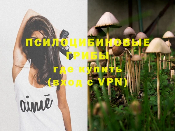 соль курить ск Алзамай