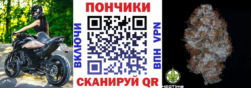 Шишки марихуана сатива  Благодарный 